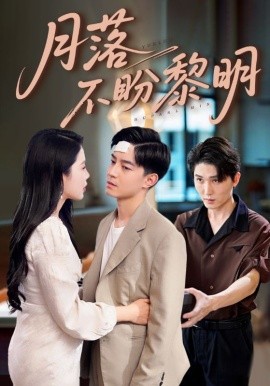 月落不盼黎明（64集）丁海霞&贺龙天 (2025)-米创网