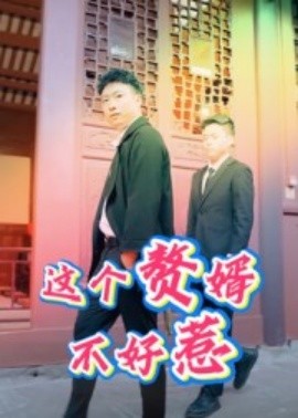 这个赘婿不好惹（27集）(2025)-米创网