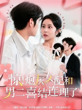 惊！炮灰女配和男二喜结连理了（91集）李亦丞＆姚慧 (2025)-米创网
