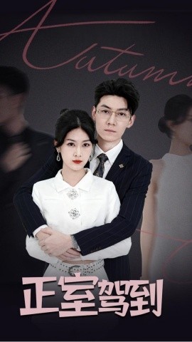 正室驾到（35集）丁语乔&陈泓龙 (2025)-米创网