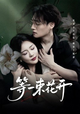 等一束花开（71集）安敏&强宇 (2025)-米创网