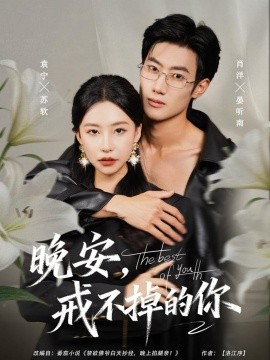 晚安，戒不掉的你（68集）袁宁＆肖洋 (2025)-米创网
