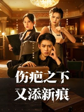 伤疤之下又添新痕（60集）李世鑫＆丁磊 (2025)-米创网
