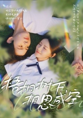 梧桐树下，相思成空（69集）游雅&刘家铭 (2025)-米创网