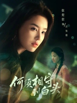 何须相守到白头（77集）傅汉源＆张楚萱 (2025)-米创网