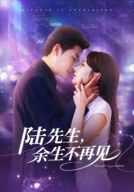 陆先生，余生不再见（88集）张旋＆孟嘉鑫 (2025)-米创网