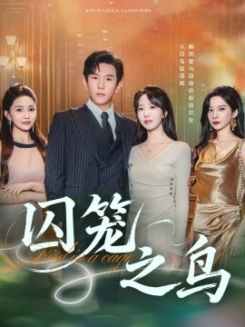 囚笼之鸟（52集）程澄&彭丹丹（彭呆呆）(2025)-米创网