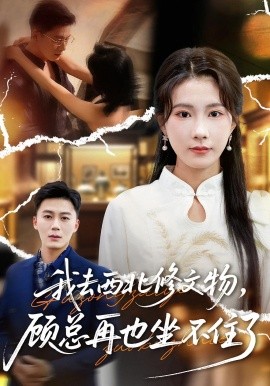 我去西北修文物，顾总再也坐不住了（46集）曹嘉怡&戴金鳞 (2025)-米创网