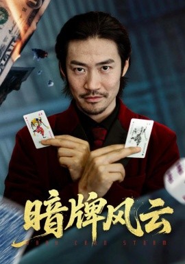 暗牌风云（60集）王恺杰&李东赫 (2025)-米创网