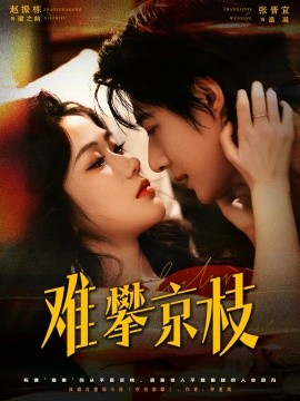 难攀京枝（74集）赵振栋＆张晋宜 (2025)-米创网