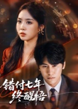错付七年终醒悟（62集）段少卿&徐徐 (2025)-米创网