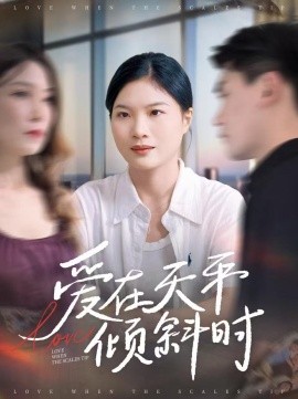 爱在天平倾斜时（33集）李彦波＆吕春阳 (2025)-米创网