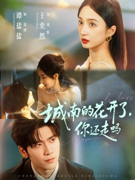 城南的花开了，你还走吗（84集）王奕然＆谭盐盐 (2025)-米创网