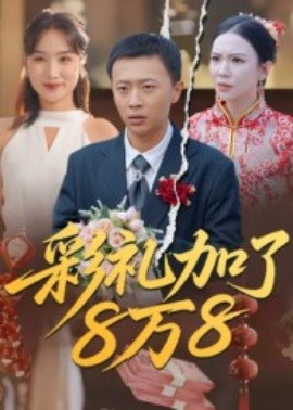 彩礼加了8万8（54集）张佳琪&王馨 (2025)-米创网