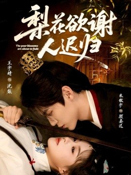 梨花欲谢人迟归（60集）朱傲宇＆王宇婧 (2025)-米创网