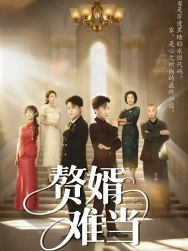 婿业难成&赘婿难当（69集）丁敬一&段乃心 (2025)-米创网
