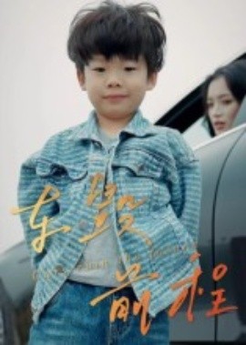 车毁前程（30集）罗淼淼&张文慧 (2025)-米创网