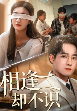 相逢却不识（77集）刘静阳&程汁 (2025)-米创网