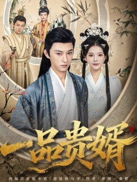 一品贵婿（80集）孙景琛＆万羽沫 (2025)-米创网