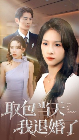 取包当天我退婚了（62集）朱碧漪&钰泽 (2025)-米创网