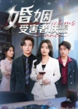 婚姻受害者联盟（41集）赵宏甲 (2025)-米创网