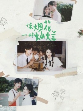 像烟花一样灿烂（60集）王译磊＆张翅＆李柯以＆余茵 (2025)-米创网