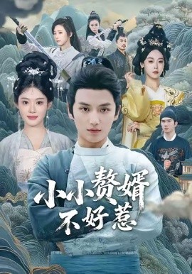 小小赘婿不好惹（64集）徐凯鑫＆方梨 (2025)-米创网
