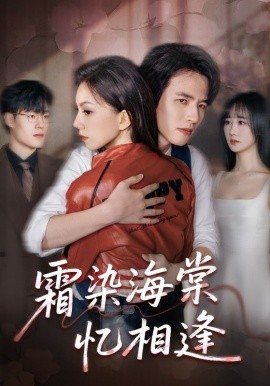 霜染海棠忆相逢（72集）庄逸涵&张天宇 (2025)-米创网