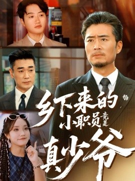 乡下来的小职员竟是真少爷（85集）丁磊＆高晟 (2025)-米创网