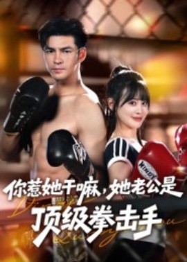 你惹她干嘛，她老公是顶级拳击手（61集）徐峰&申佳妮 (2025)-米创网