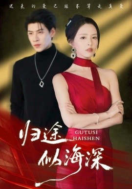 归途似海深（61集）刘蔓莉&王为洋 (2025)-米创网