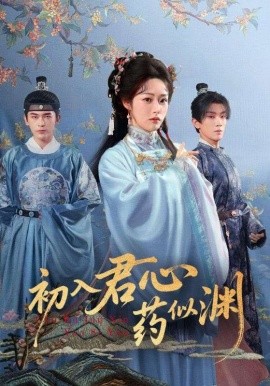 初入君心药似渊（70集）阿尔迪&胡继月 (2025)-米创网