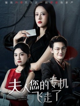 夫人您的专机飞走了（62集）王婧琦&陈泓龙 (2025)-米创网