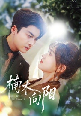 楠木向阳（70集）方正男＆仇乐瑶 (2025)-米创网