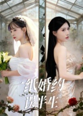 一纸婚约误半生（46集）王景远&喻子苏 (2025)-米创网