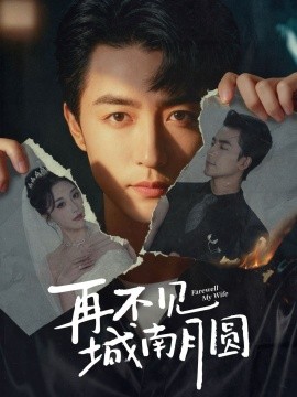 再不见城南月圆（60集）吴昊＆张棠 (2025)-米创网