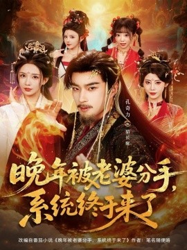 晚年被老婆分手，系统终于来了（80集）孔奇力＆李若希＆袁颖 (2025)-米创网
