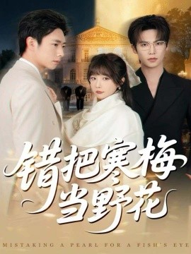 错把寒梅当野花（60集）于颢鑫＆王籽霖 (2025)-米创网