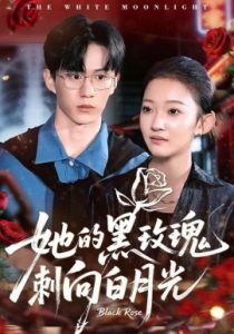她的黑玫瑰刺向白月光（83集）贝贝＆郭澈 (2025)-米创网