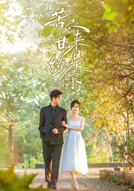 苦尽甘来缘是你（45集）刘晓宇＆杜昱泽 (2025)-米创网
