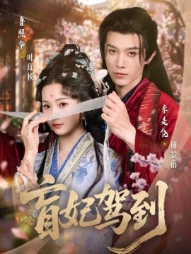盲妃驾到（65集）鲁照华＆李是侥 (2025)-米创网