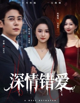 深情错爱&鸠占鹊巢（45集）罗鹏&张心然 (2025)-米创网