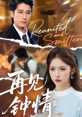 再见钟情（100集）林枫松&吴毅非 (2025)-米创网