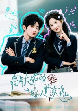 痞气大佬的撩人野玫瑰（80集）李悦暄&王浩宇 (2025)-米创网