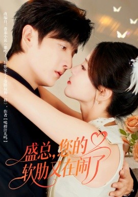 盛总，您的软肋又在闹了（80集）林潇＆张许焓 (2025)-米创网