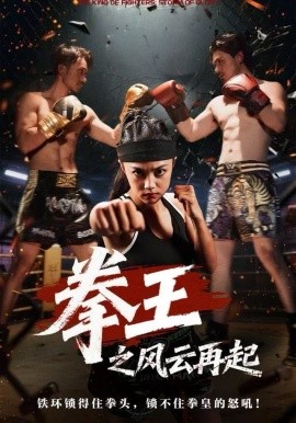 拳王之风云再起（50集）夏巧戈&王城 (2025)-米创网