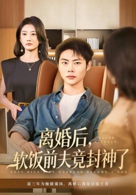 离婚后，软饭前夫竟封神了（78集）林元元&肖智夫 (2025)-米创网