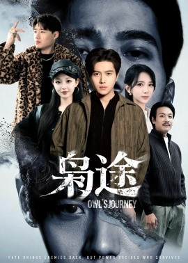 枭途＆龙抬头1：莫欺少年穷（100集）姜腾&高明君 (2025)-米创网