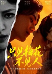 只见梅花不见人（63集）聂文华&王楚沅 (2025)-米创网