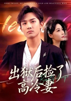 出狱后捡了高冷妻（71集）沈樑&冯瑞 (2025)-米创网